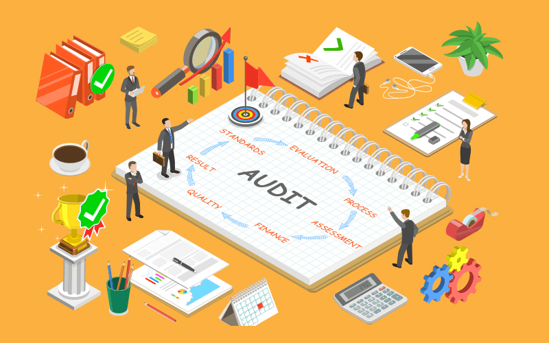 Process Audits